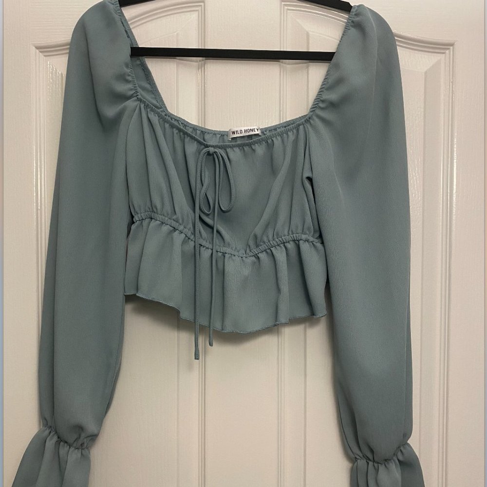 Wild Honey Long Sleeve Crop Top